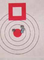 100 yard target shot with factory Hornady load with 32gr V-Max bullet.