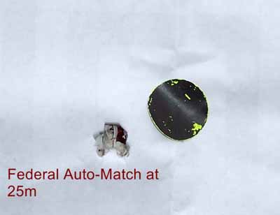 Target shot at 25 meters with Federal Auto-Match ammunition