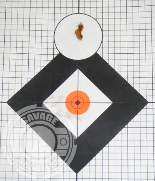 Sub MOA groups were easily attained and repeated at 100 yards once I got consistent with my hold on the stock.