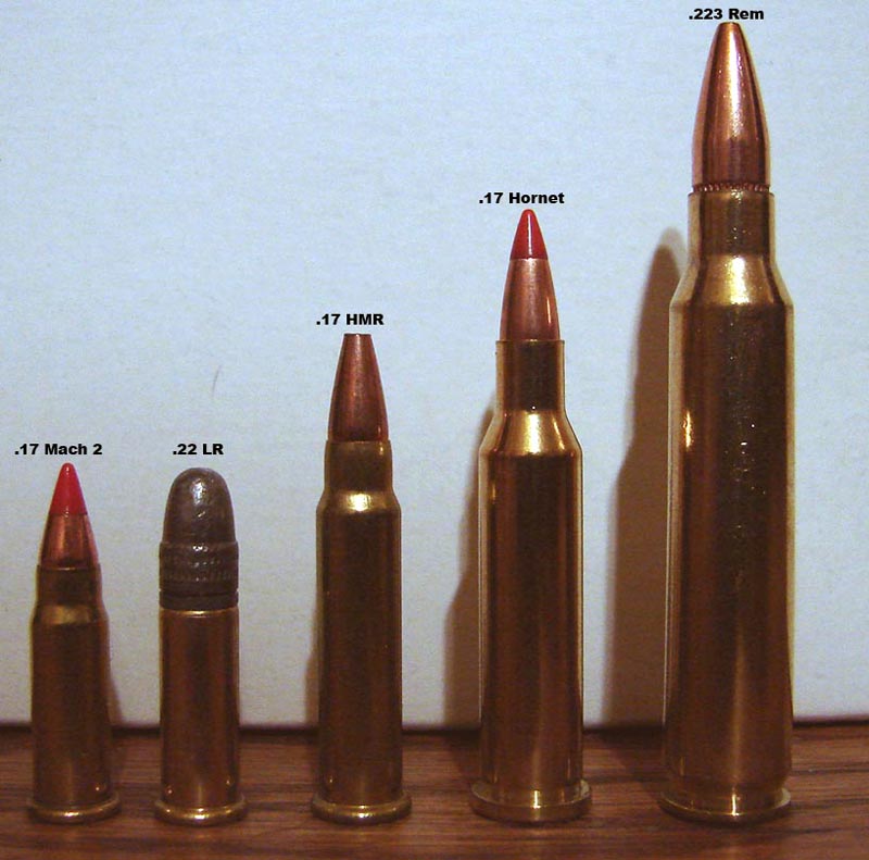 Left to right:  17 Mach 2, 22 LR, 17 HMR, 17 Hornet, .223 Remington